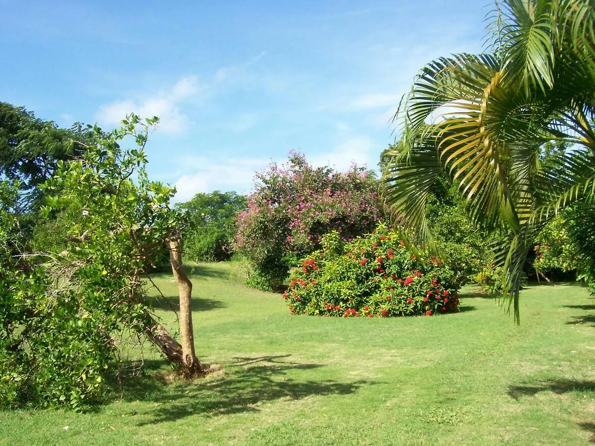 Ocean View Montego Bay Apartment 0*,  Jamaica